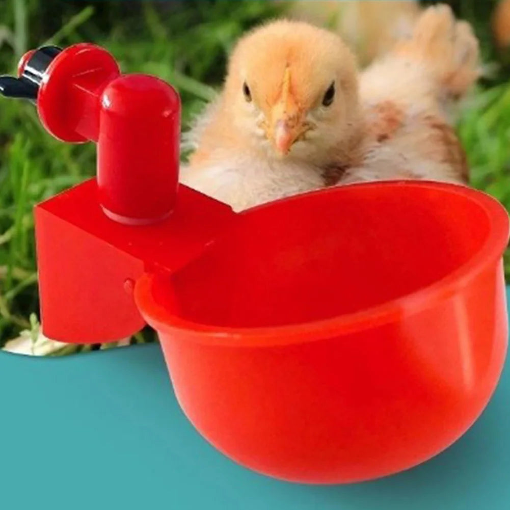 6-48pcs Chicken Duck Drinking Cup Automatic Drinker